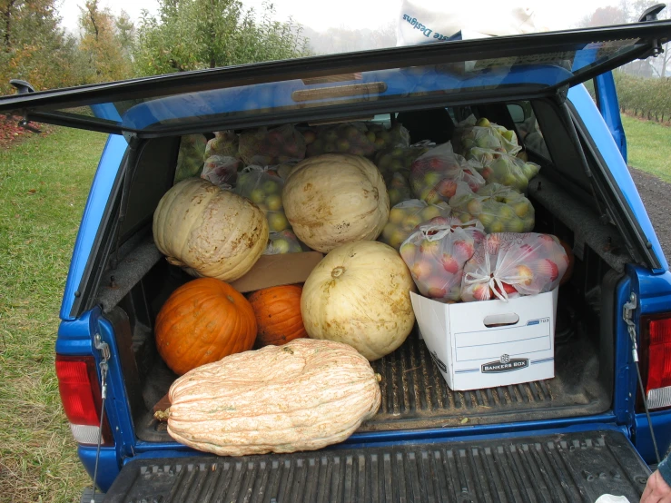 a truck bed filled with lots of gourds