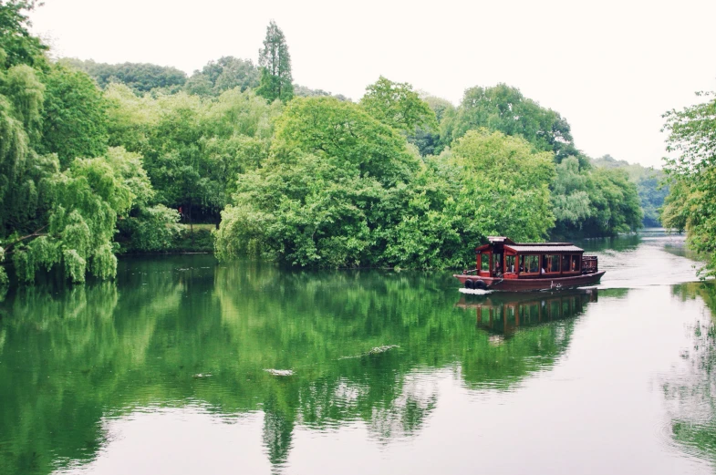 a boat traveling down the river surrounded by trees