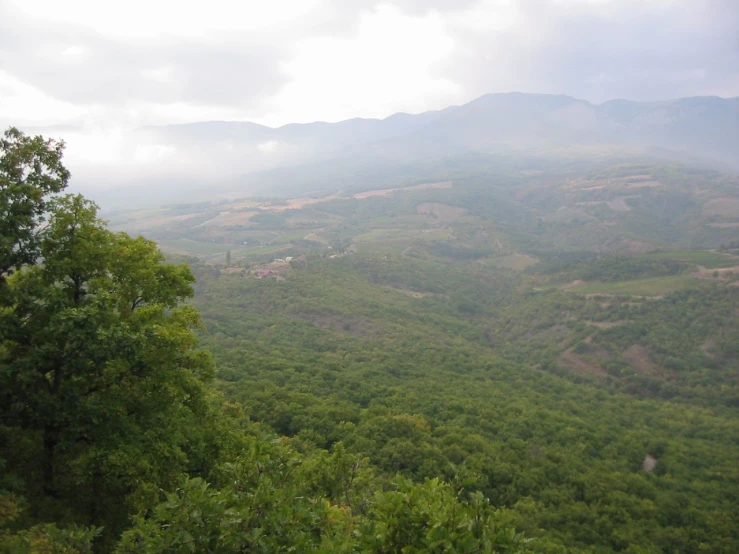 a green valley with some hills and trees