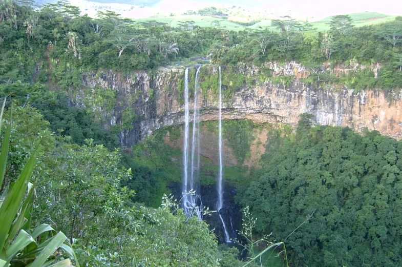 a waterfall is next to the forest of trees