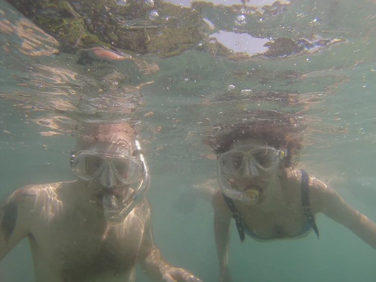 two people swimming in the sea, one of them is diving