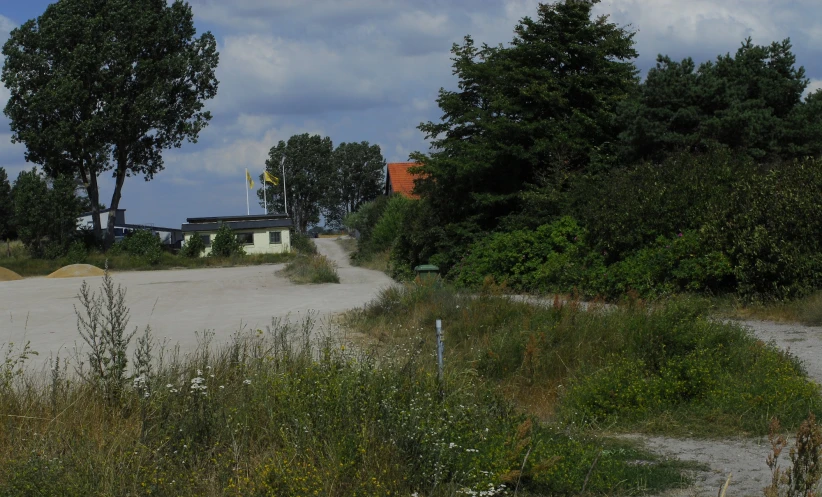 some green trees bushes and dirt a house and cars