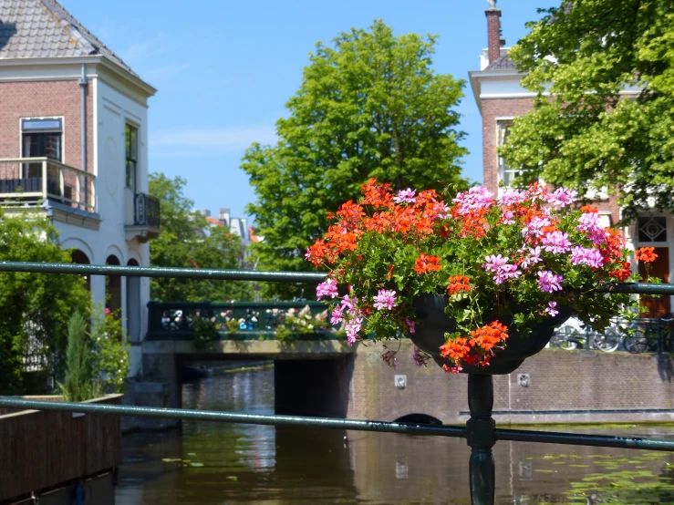 a bunch of flowers in a vase sitting on the edge of a bridge