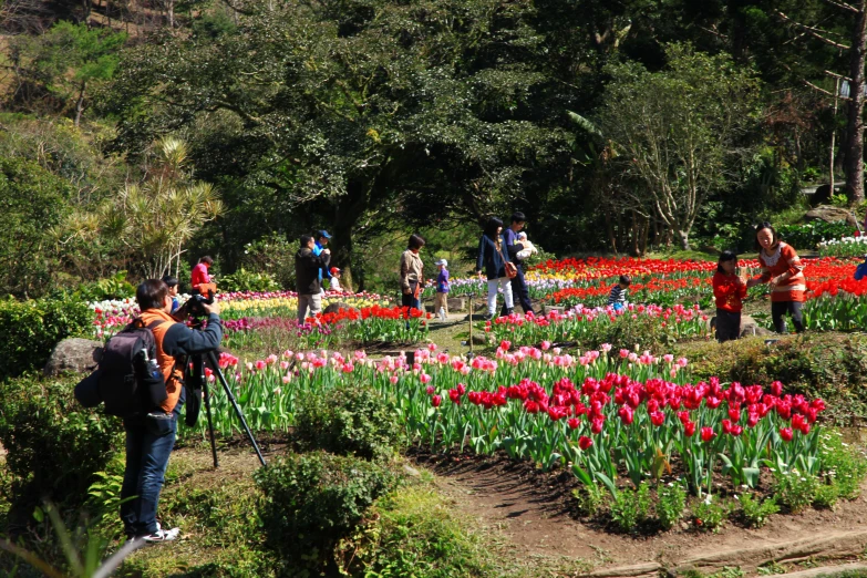 people take pictures of many flowers in a garden