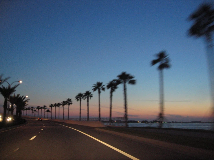 a car is driving down the street near palm trees