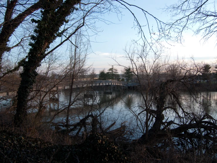 a bridge over a body of water surrounded by trees