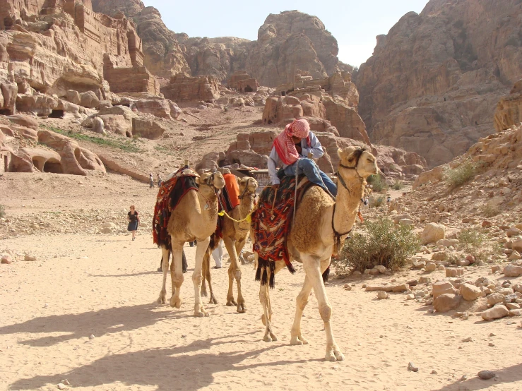 three people are on camels in the desert