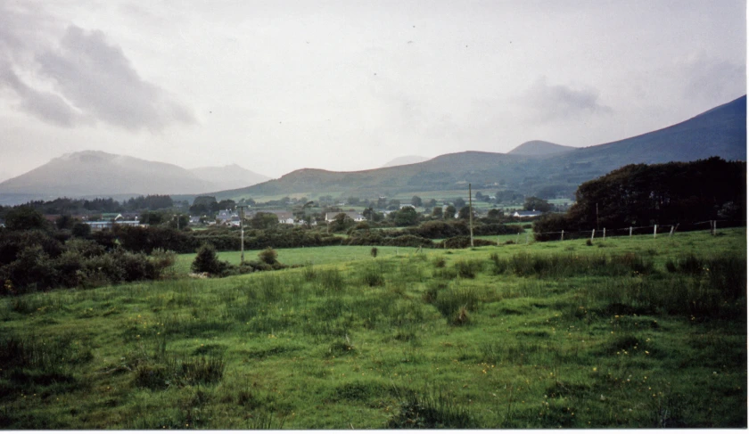 landscape, mountains in background with trees and green grass