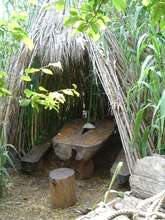 several pieces of wood near some trees and bushes