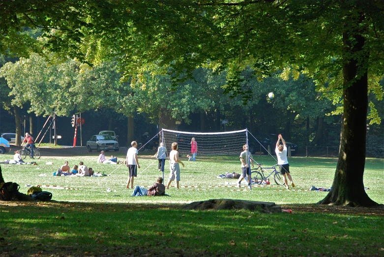 several people in a park playing volleyball