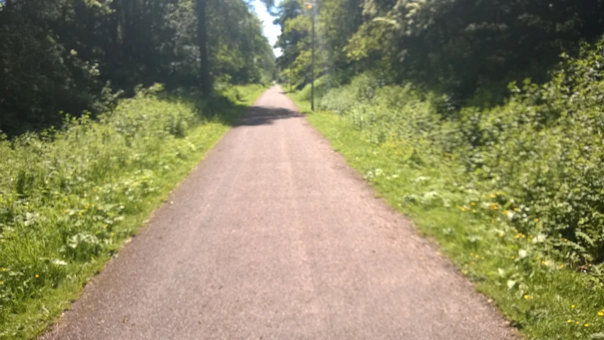 an empty street through the woods on a cloudy day