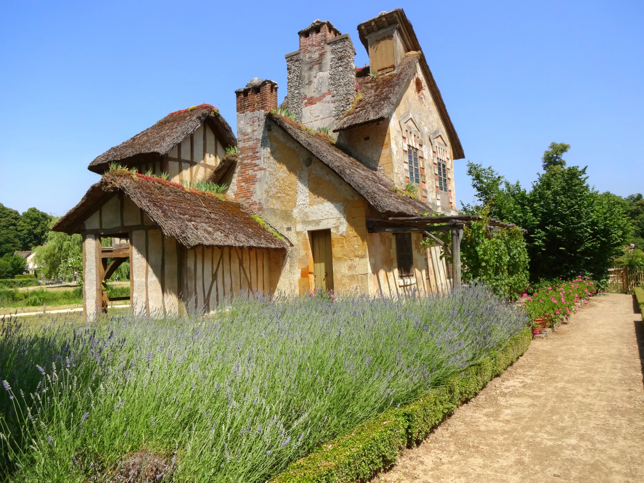 the exterior of an old stone house with lavender growing in front