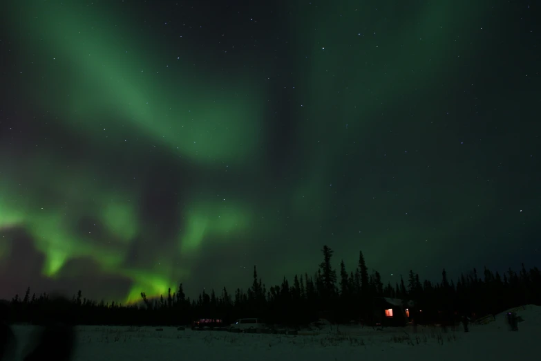 a green and purple light shines above trees