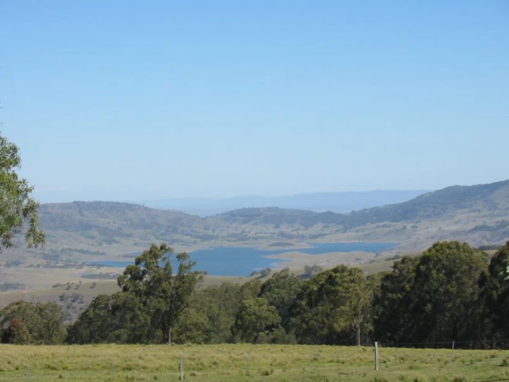 a pasture near the water on a sunny day