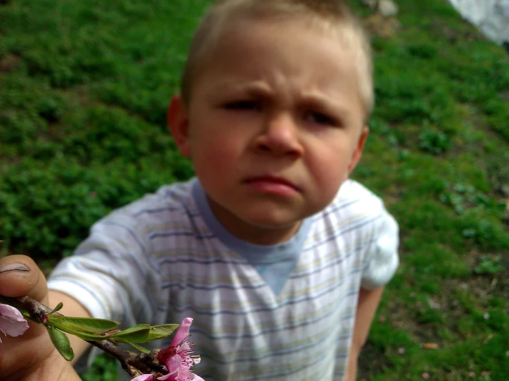 a boy in a striped shirt holding a flower