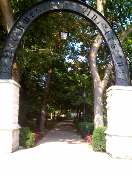 a close up of a gate near trees