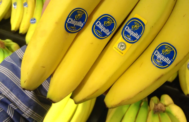 bunches of bananas in store on display with blue label stickers