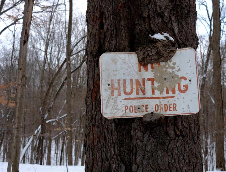an old sign sitting on the side of a tree