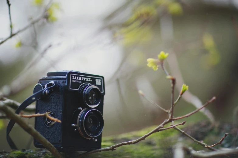 a camera with a body and a lens attached sitting on the moss