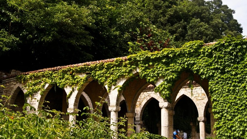 people walking around an archway covered in ivy