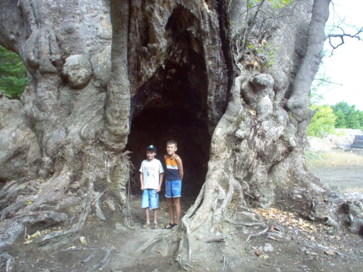 two children standing next to each other in front of a tree