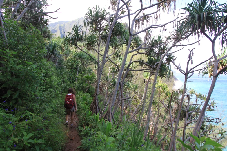 a person on a path with a backpack next to the water