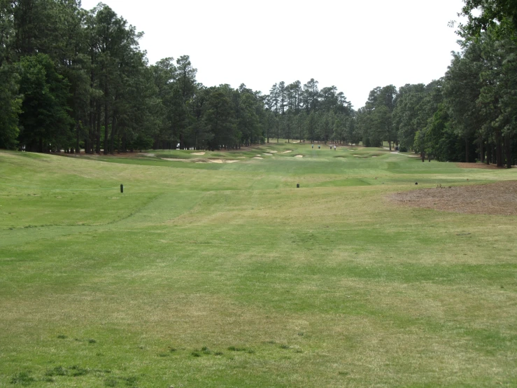 a wide green golf course with a few holes