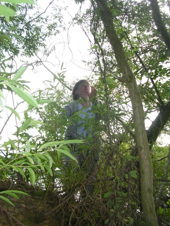 a person climbing up a tree with leaves
