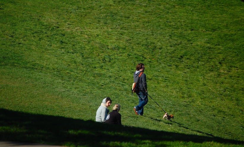 two people walking on grass with a dog in the background