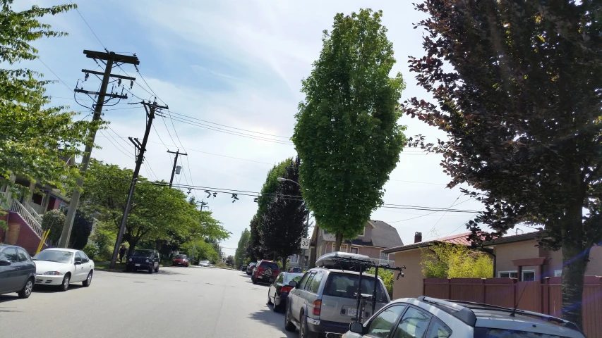 a few cars parked on the side of a tree - lined street