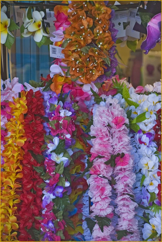 colorful flowers are on sale in the window