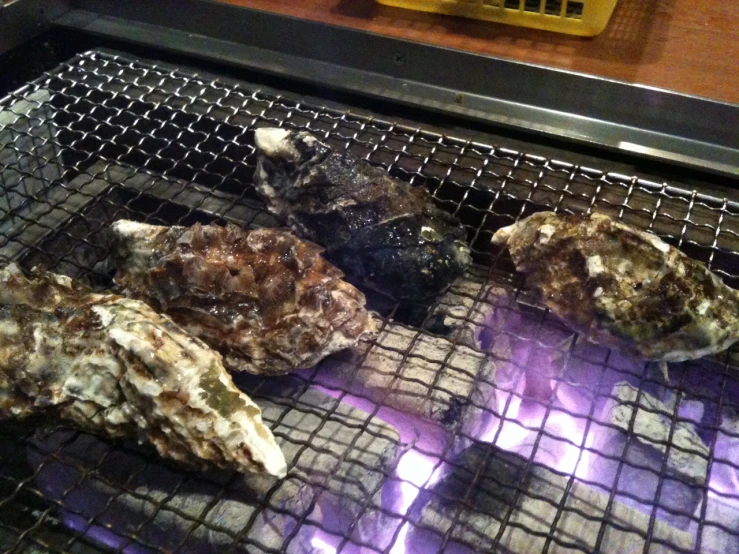 there are different rocks cooking on the grill