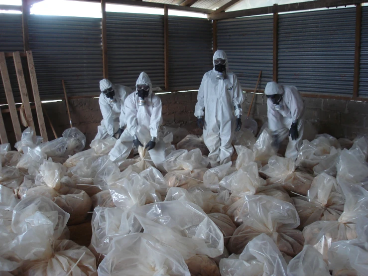 four people in white hazmat suits surrounded by bags of plastic bags