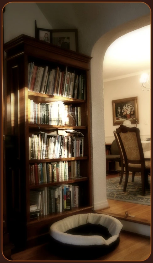 a dog bed in front of a book shelf with books