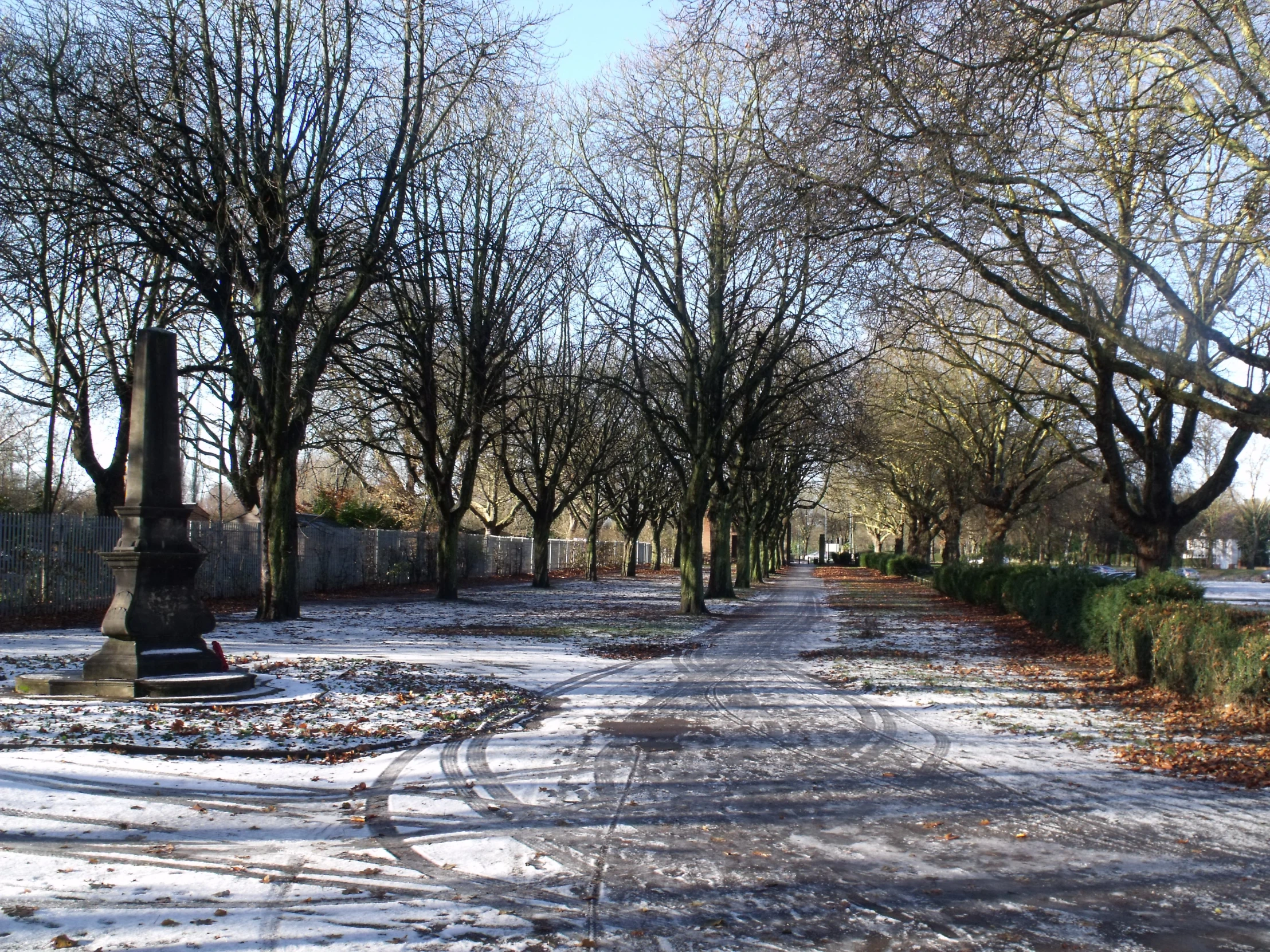 a small park path with trees on both sides