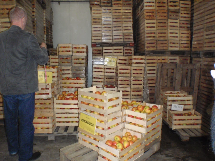 a man with boxes full of apples in a warehouse