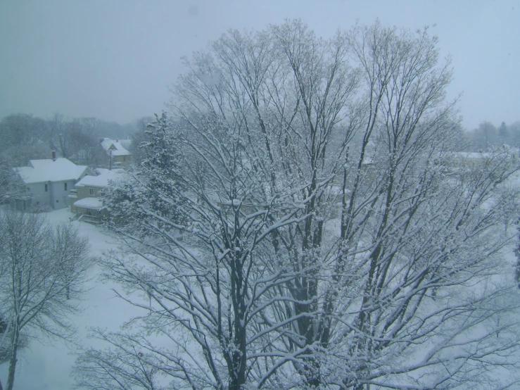 the view of trees and houses covered with snow