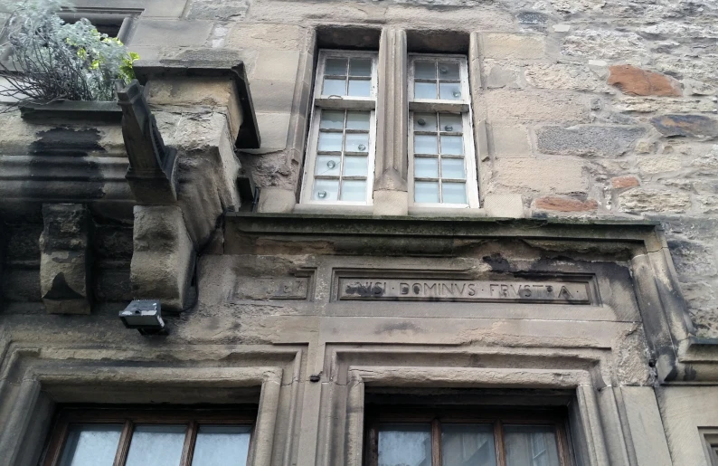 a close up of a building with windows and a plant in the window