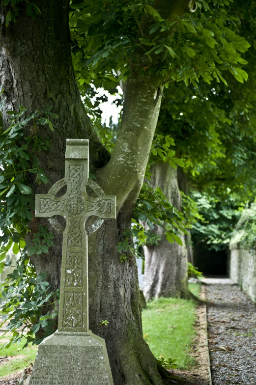 a very tall cross sits next to some trees