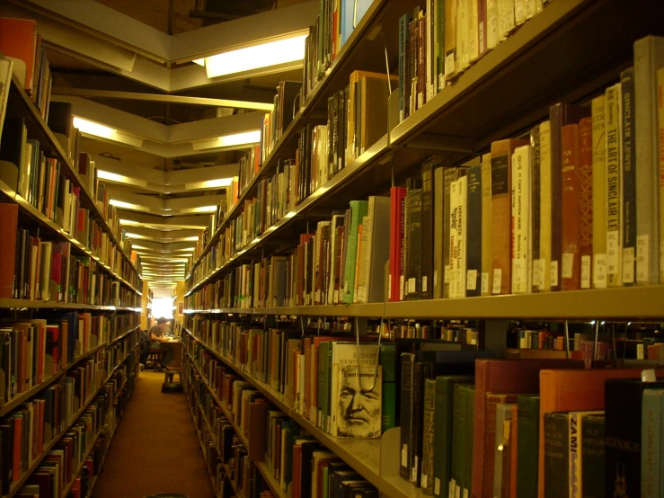 this is a large amount of books on shelves