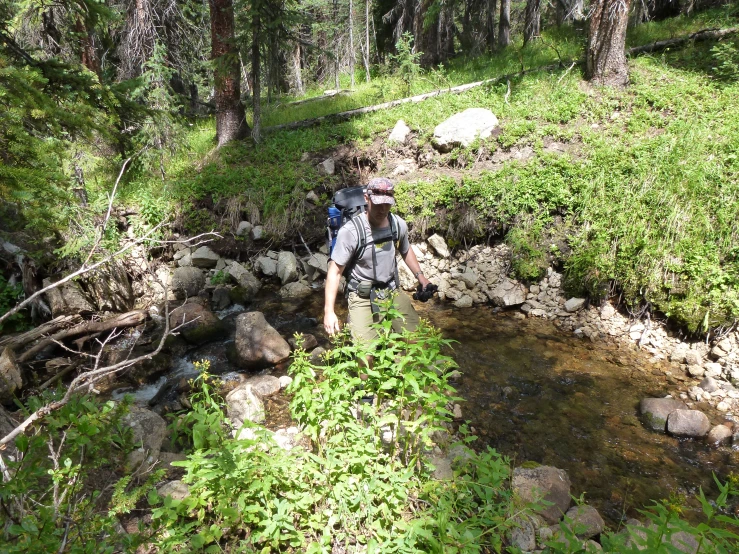 a man is standing by a creek and is walking in the woods