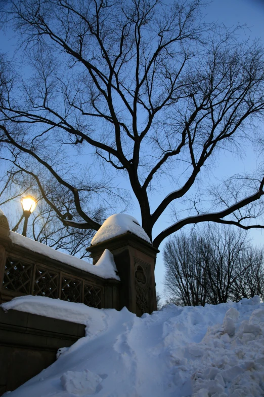 a fence and tree covered in snow with a street light in the background