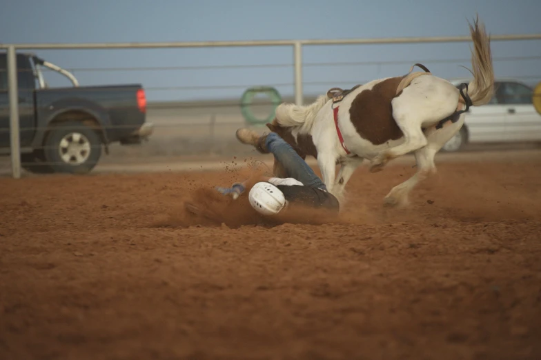 a dog standing on the ground as it tries to get a frisbee