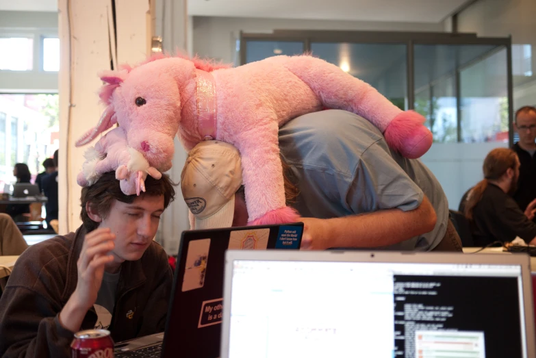 man working on computer with large pink stuffed animal