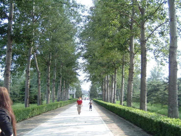 people walking down the sidewalk while the trees are turning into greenery