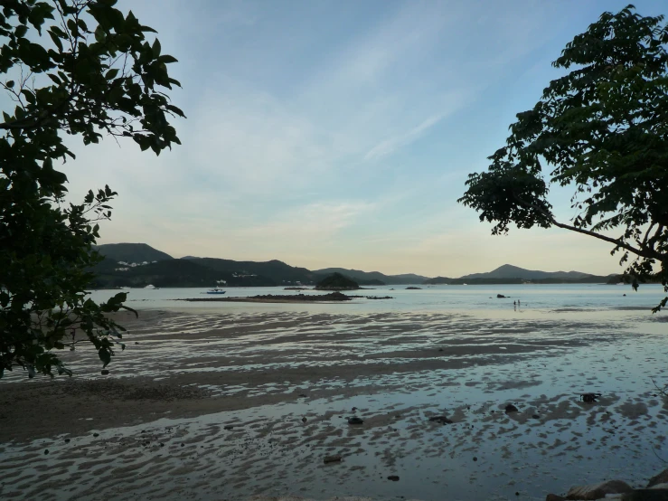 the view of several birds on a beach with mountains in the distance