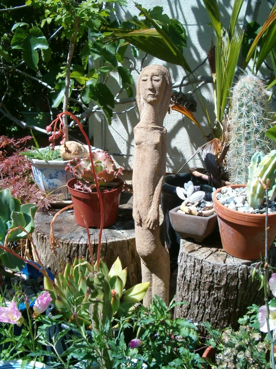 this is a plant display at a home garden