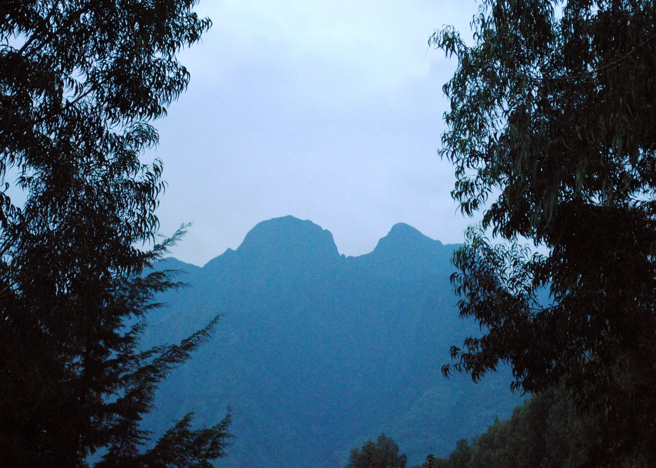 view through trees to mountains at night