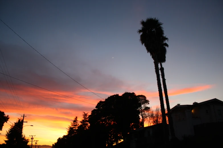 there are many trees and buildings in the background