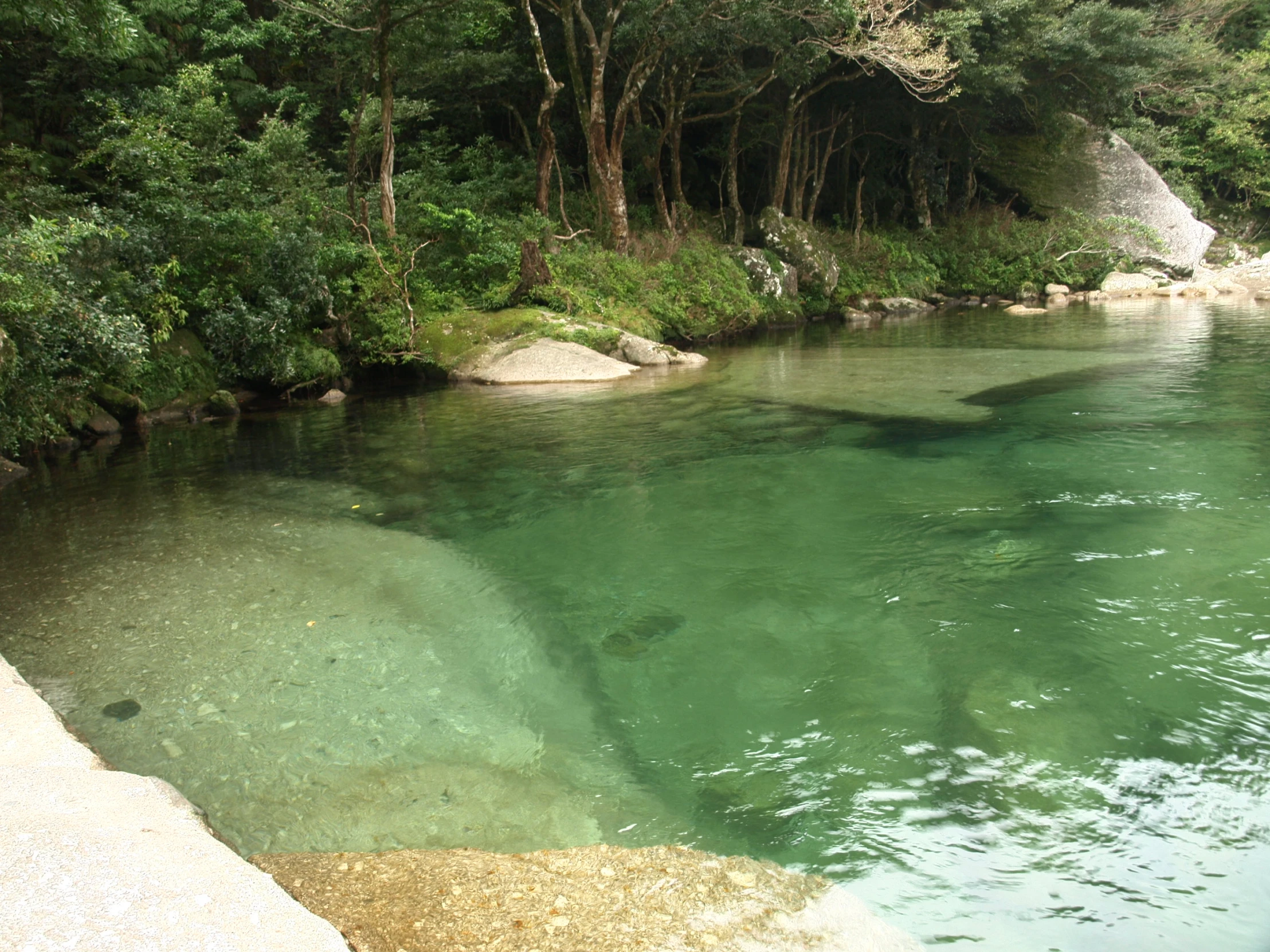 an image of a stream with a rock shoreline and rocks